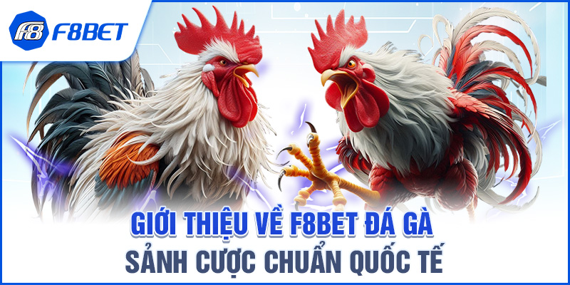 Giới thiệu về F8BET Đá Gà – Sảnh cược chuẩn quốc tế