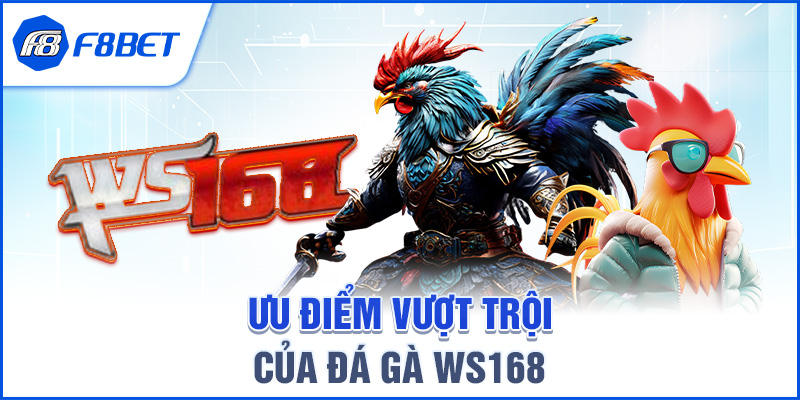 Ưu điểm vượt trội của Đá gà WS168